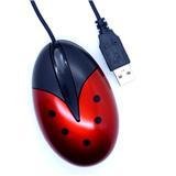 Ladybug Computer Mouse for Kids