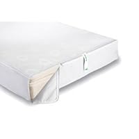 BeneSleep Queen Mattress Encasement