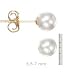 14k Gold, 6.5-7mm Akoya Cultured Pearl Stud Earring