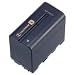 Cta Digital Replacement Battery for Sony NP-F9