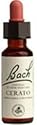 Cerato ( Ceratostigma willmottiana ) 20 ml Bach Flower Essences