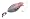 Dokken Dead Fowl Trainer Hunting Dog Dummy (Quail)