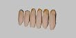 CUTTLEFISH BONE BOX OF 6