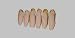 CUTTLEFISH BONE BOX OF 6