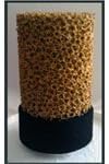 Shower CHLORINE Filter, DECHLORINATES AS YOU SHOWER PLUS (1) replace Filter