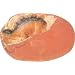 Dino Egg Excavation