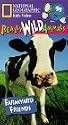 National Geographic's Really Wild Animals: Farmyard Friends [VHS]