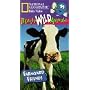 National Geographic's Really Wild Animals: Farmyard Friends [VHS]