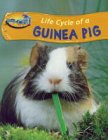 Life cycle of a guinea pig