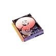 Western Digital WD 120GB SATA 2 7200RPM 3.5 Bulk/OEM Hard Drive WD1200AAJS