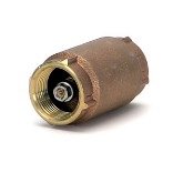 Check Valve 1