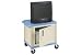 Plastic Utility Cart 2 Shelves Blue With Security Cabinet