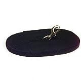 Aspen Pet 50' Heavy Duty Training Lead