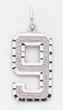 Large #9 Charm - WLN09