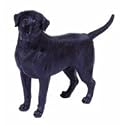 Labrador, black 10" standing Statue