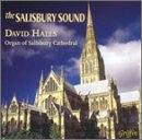The Salisbury Sound [US-Import] - 
