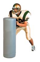 Stand Up Dummy (16X 42)