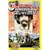 Cannibal! The Musical [DVD] [1996] [US Import] [NTSC]