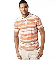 North Coast Pure Cotton Multi-Striped Polo Shirt
