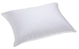 American Textile 220-Thread-Count Cotton Sateen Queen Pillow Cover with Teflon