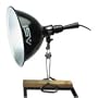 90UL Econo Light