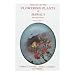 Manual of the Flowering Plants of Hawai'i (Bernice Pauahi Bishop Museum Special Publication, 2 Vol. Set)