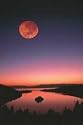 Art Poster Print - Lake Tahoe, California - Artist: unknown- Poster Size: 36 X 24