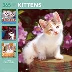 365 Days of Kittens 2010 Wall Calendar 12 X 12