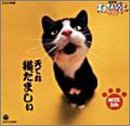 NHK天才てれびくんワイド~天てれ猫だましぃ~