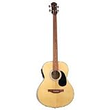 Acoustic Bass Guitars