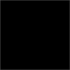 The Black Album