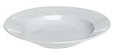 Rosenthal Gourmet Collection 9-1/2-Inch Rimmed Soup