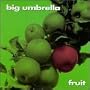 Fruit