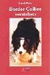Border Collies verstehen