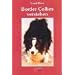 Border Collies verstehen