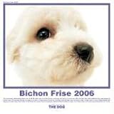 The Dog Bichon Frise