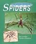 The Natural History of Spiders