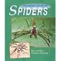 The Natural History of Spiders