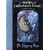 The Slippery Slope #10 (Series of Unfortunate Events)