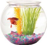 UPC 049146000109 product image for Tom Tominaga Oscar ATOBL10RPET Plastic Bowl Round, 1 Gallon | upcitemdb.com