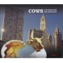 Cows on Parade in Chicago