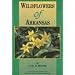 Wildflowers of Arkansas