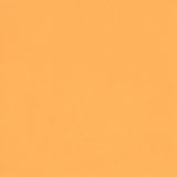 ADP Cardstock 8.5 x 11 - ELECTRIC ORANGE Single Sheet