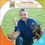 Cesar Millan 2009 Standard 12"x12" Wall Calendar
