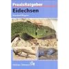 PraxisRatgeber: Eidechsen