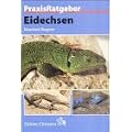 PraxisRatgeber: Eidechsen