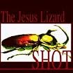 Shot