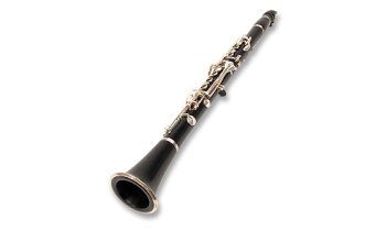 MusicalInstruments: Maestro TrueTone Bb Clarinet Outfit