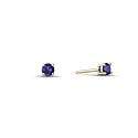 14K Yellow Gold Round Created Sapphire Stud Earrings