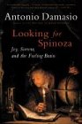 Looking for Spinoza: Joy, Sorrow, and the Feeling Brain (0156028719) by Damasio, Antonio